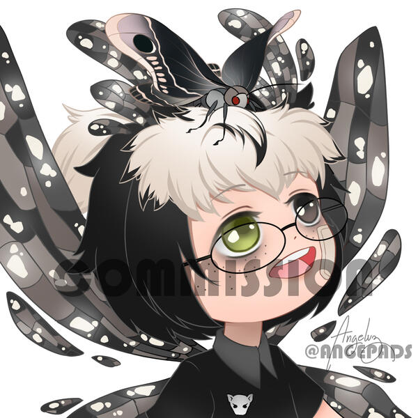 (SCAMMED by the owner)